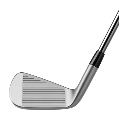 TaylorMade P790 Golf Irons | Graphite