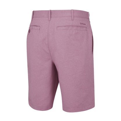 Ping Bradley Golf Shorts P03316