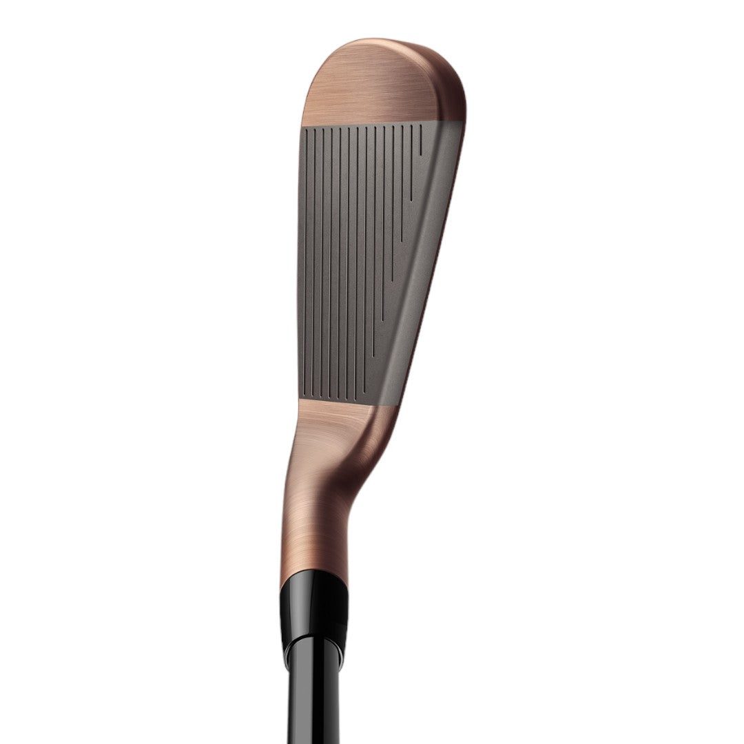 TaylorMade Aged Copper P790 Golf Irons | Steel