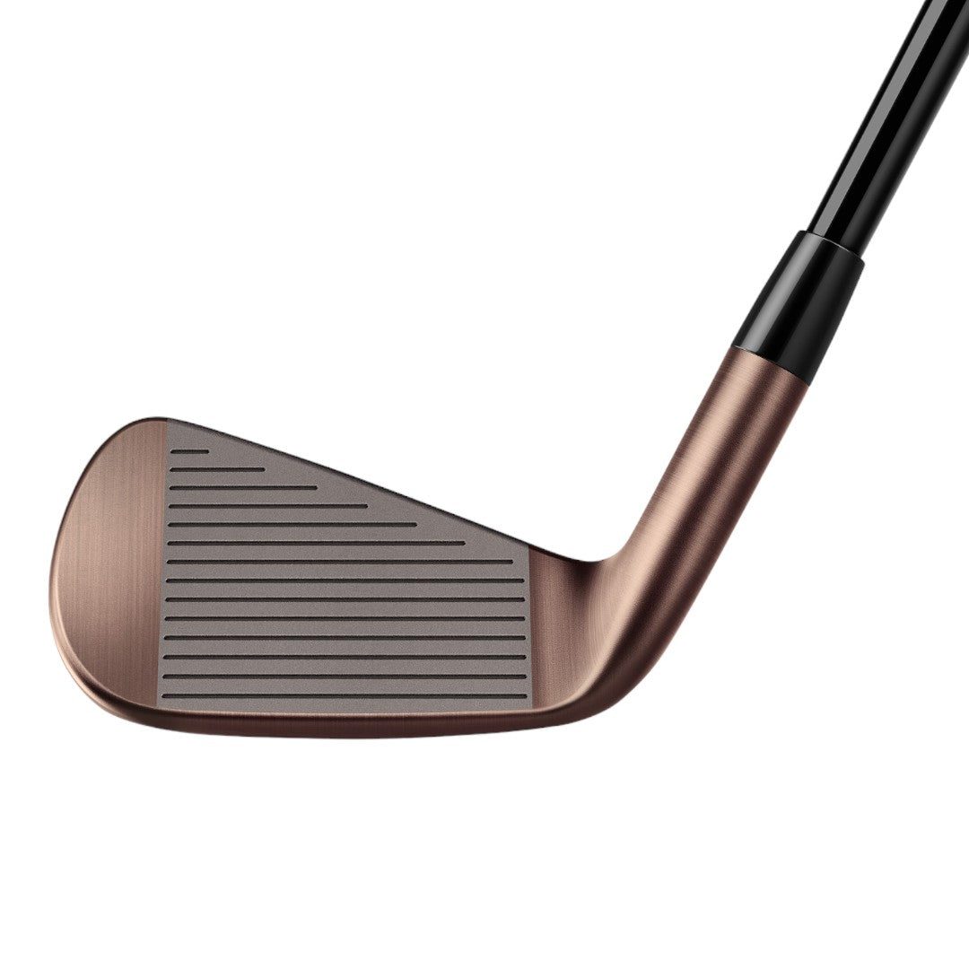 TaylorMade Aged Copper P790 Golf Irons | Steel