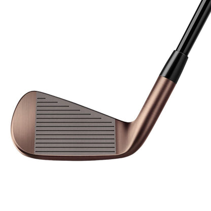 TaylorMade Aged Copper P790 Golf Irons | Steel