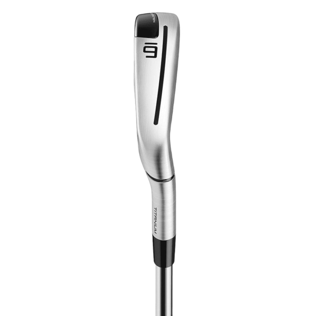 TaylorMade P790 Ti Golf Irons | Graphite