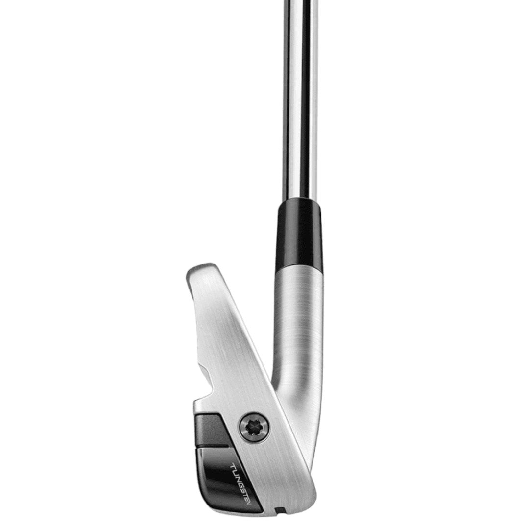 TaylorMade P790 Ti Golf Irons | Graphite