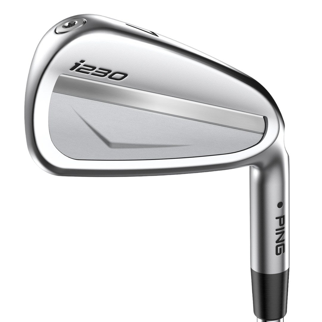 Ping i230 Individual Golf Irons | Steel